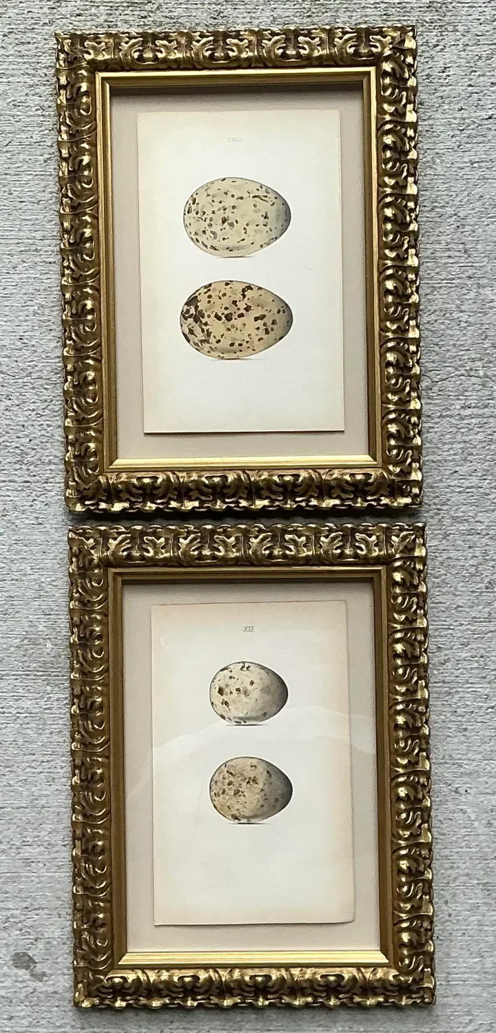 Vintage Original Book Plates of Eggs - A Pair — additional photo 4
