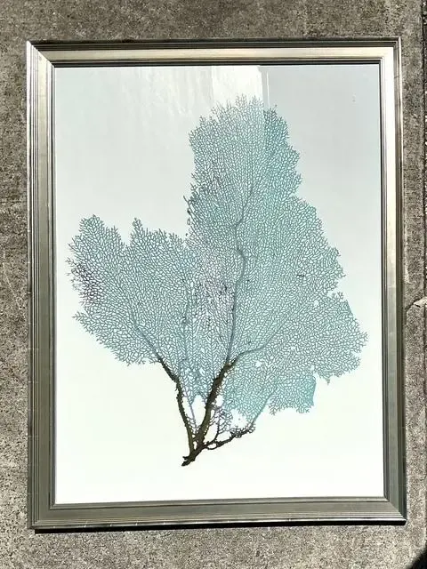 Vintage Original Coral Fan Print — additional photo 1