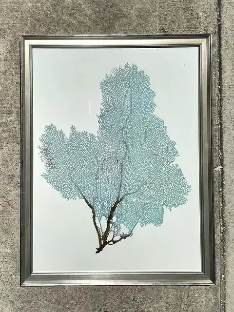 Vintage Original Coral Fan Print — additional photo 2