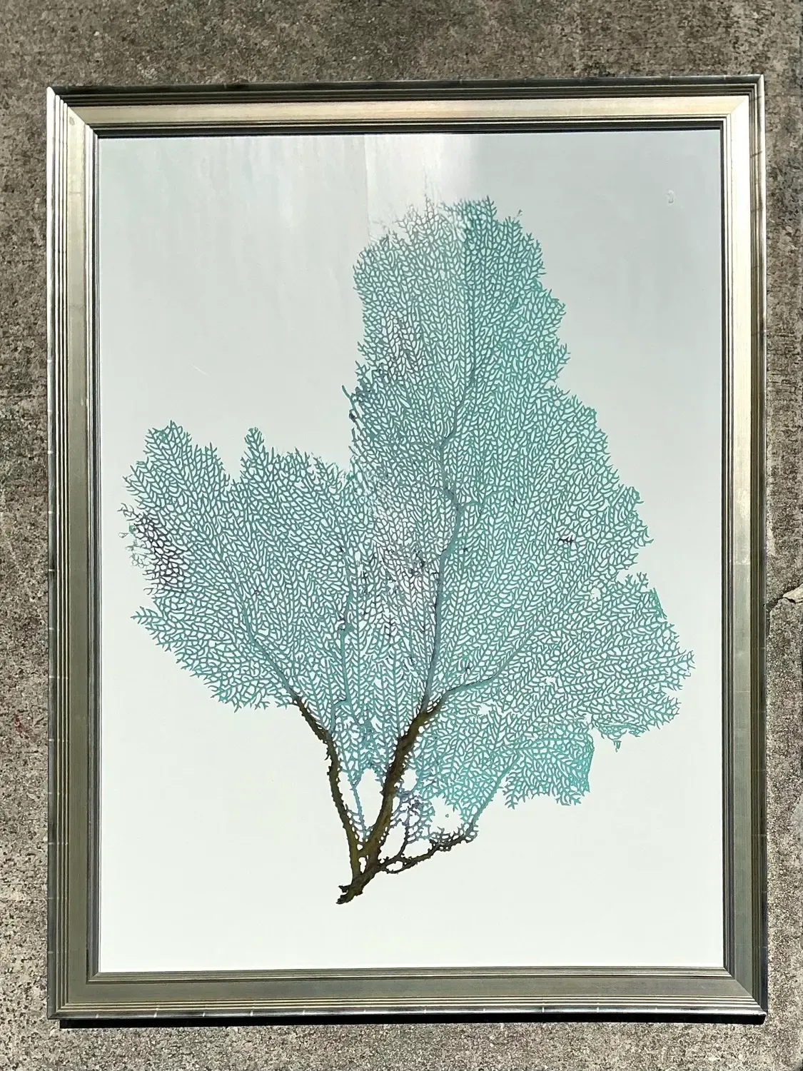 Vintage Original Coral Fan Print — additional photo 3