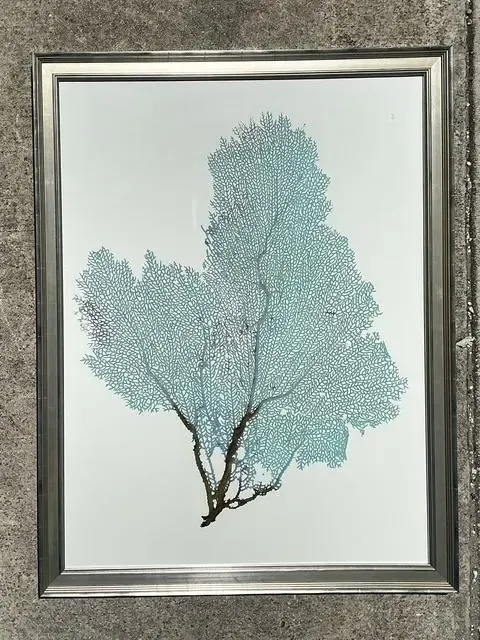 Vintage Original Coral Fan Print — additional photo 5