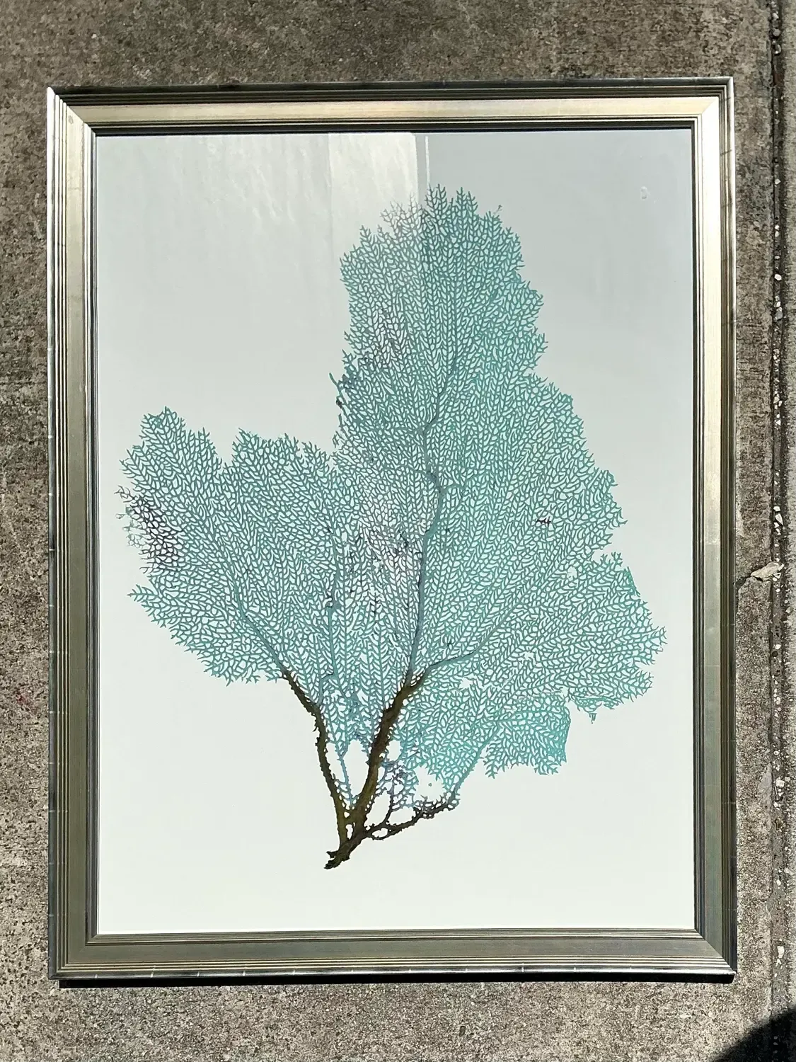 Vintage Original Coral Fan Print — additional photo 7