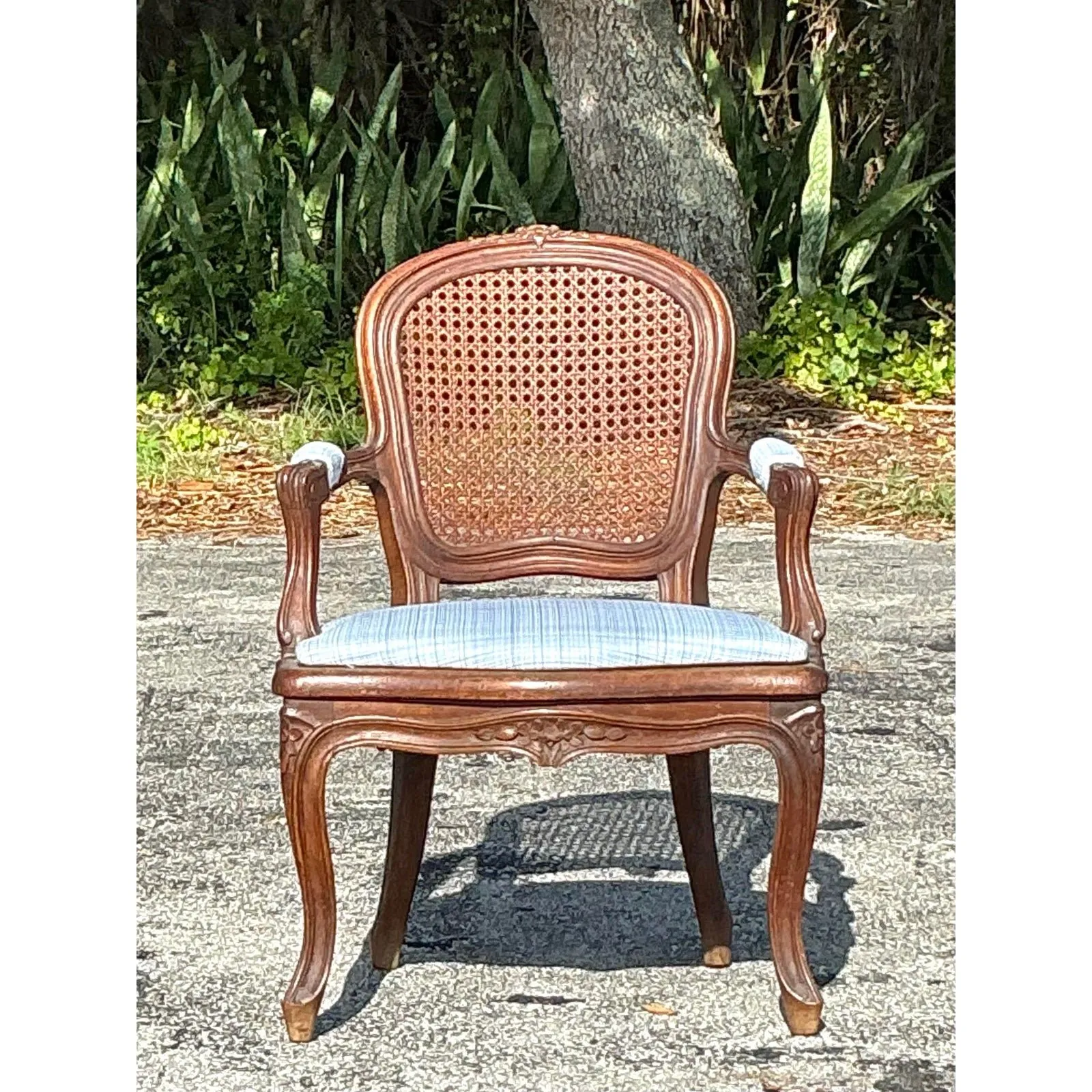 Vintage Regency Cane Fireside Fauteuil Chair — additional photo 1
