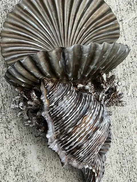 Vintage Silvered Clam Shell Brackets - A Pair — additional photo 5