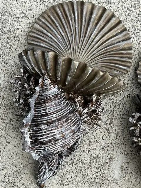 Vintage Silvered Clam Shell Brackets - A Pair — additional photo 8