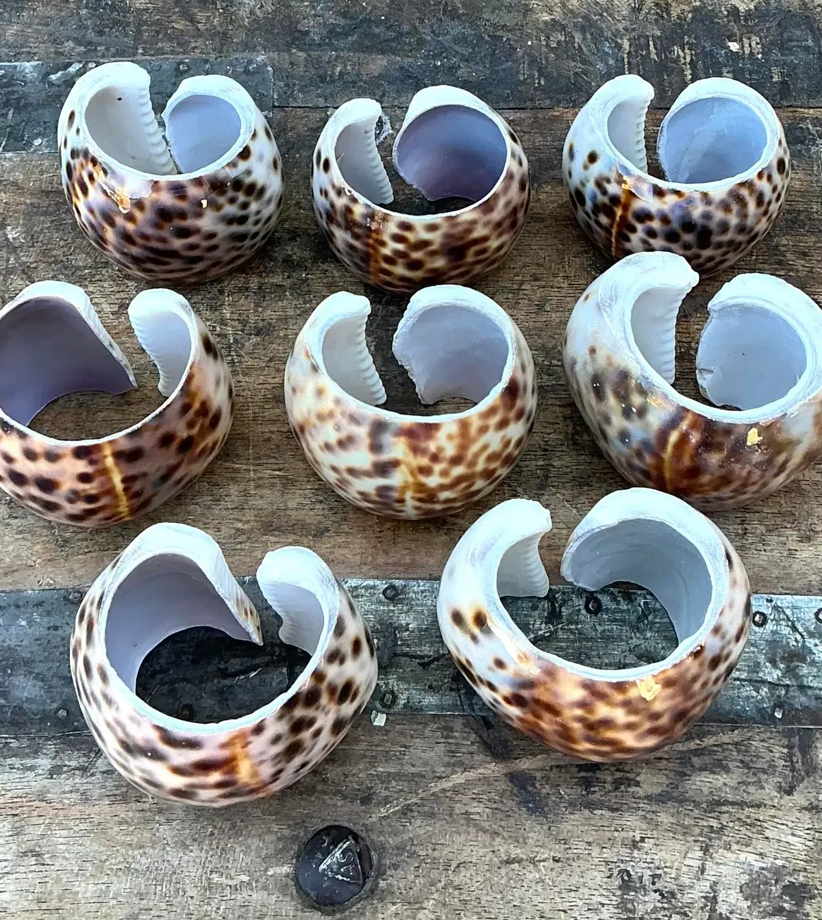 Vintage Sliced Shell Napkin Holders - Set of 8 — additional photo 2